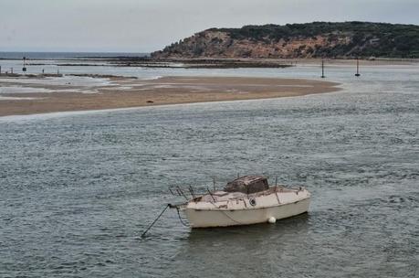 From the beach...(Ocean Grove, Vic)