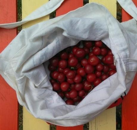 Where I'm at (a rambling post on dairy and gluten)