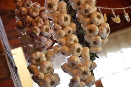 Where I'm at (a rambling post on dairy and gluten)