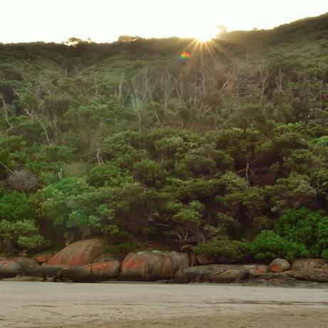 Postcards from the South