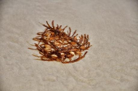 Postcards from the South