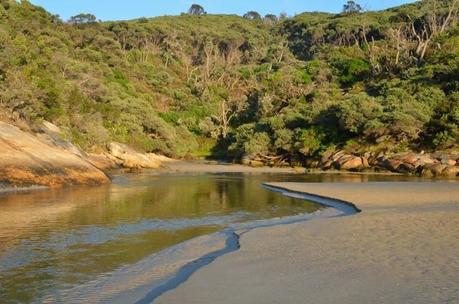 Postcards from the South