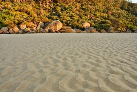 Postcards from the South