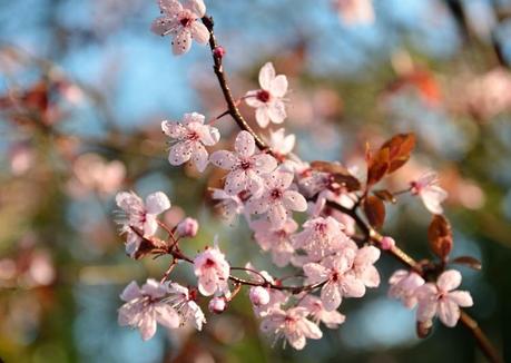 Slow Living 2013 - July/August