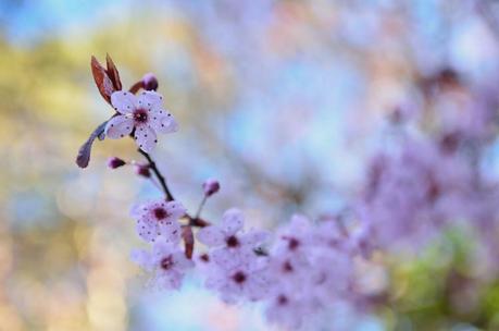 Slow Living 2013 - July/August