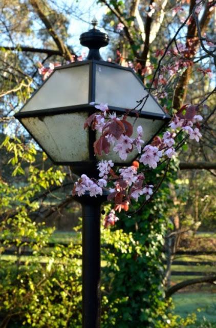 Slow Living 2013 - July/August