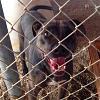 0204_palmdale_garlandrescue_w100_res72