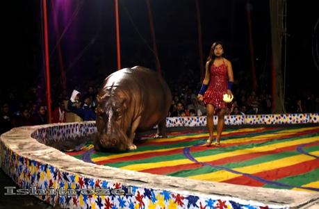 Circus in India