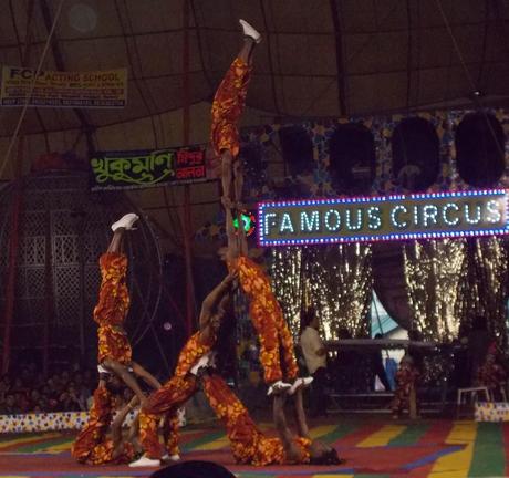 Circus in India