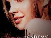 Vamps, Stone: Vampire Academy Richelle Mead