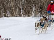 Cannington Sled Races