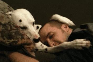 Dog GIFs for Wonderful Wednesday (Part II) dog gif