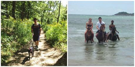 The Liebster Award!!~ The Dreams Weaver The Liebster Award!!~ The Dreams Weaver