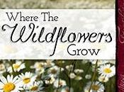 Where Wildflowers Grow Vera Jane Cook