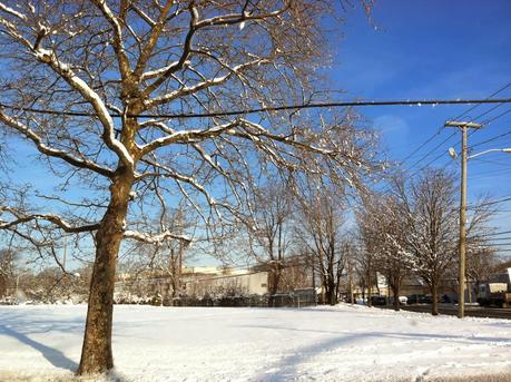 Snow-In-Farmingdale-on-Motor-and-Main-Street