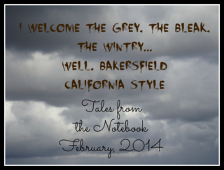 Tales from the Notebook Welcome the grey, the bleak, the wintry