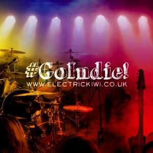 GoIndie - The advantages of being an independent musician