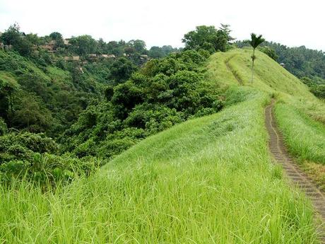 things to do in Ubud - trekking