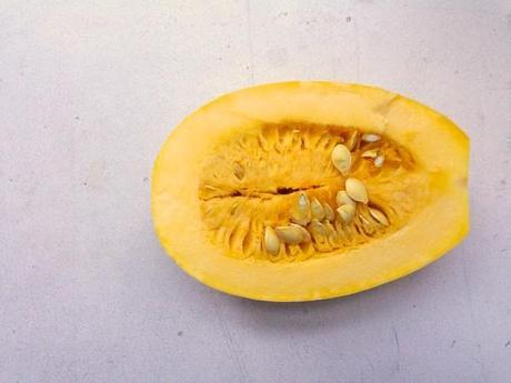 Spaghetti squash butternut 228