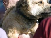 Ryan Gosling George: Dynamic