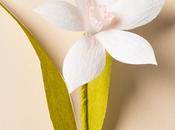Make Paper Flower Naricissus