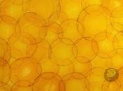 Kitchen Bath Trend: Nature