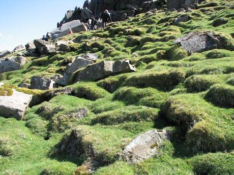 ribbed green grassy hill with gray rocks and clear sky in the background