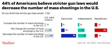 Public Split On If Average Person Can Be Trusted With Gun