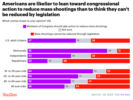 Public Split On If Average Person Can Be Trusted With Gun