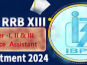 IBPS XIII Officer Assistant, Scale Online Form 2024