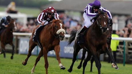 Ranked: Top 10 Most Popular Sports in The World Horse Racing