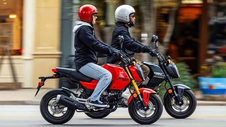 Honda Grom: Big bang in a small package!  Honda appeared with a cute little bike