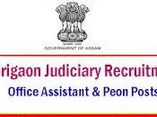 Morigaon Judiciary Recruitment Office Assistant Peon Posts