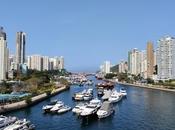 Boat Trailer Bunk Carpet 101: Great Buyers Guide