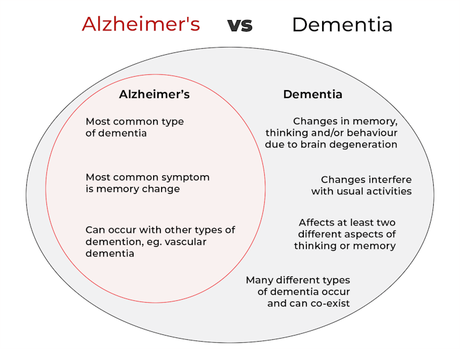 What’s the difference between Alzheimer’s and dementia?