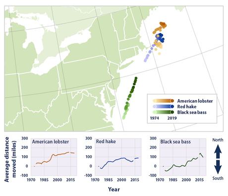 The warming ocean is leaving coastal economies in hot water