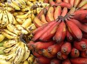 Bananas Florida Courts Orders Compensation