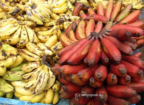 Bananas ! - Florida Courts orders compensation Bananas ! - Florida Courts orders compensation