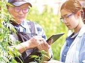 Proposals Called Grow Cannabis Export