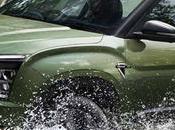 Most Popular Cars: Don't Fooled Buying, Know Which Cars India