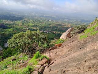 204) Kabbaldurga trek: (11/6/2024)