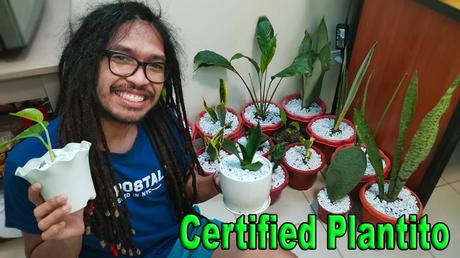 Indoor plants for small condo,
Certified Plantito,
Microliving Philippines,
Quarantine vlog,
Anxiety relief with plants,
Indoor gardening tips,
Best plants for apartments,
Easy care indoor plants,
Urban jungle condo,
Home gardening therapy,living in small condo unit,plantito and plantita,sansevieria plant,sansevieria cylindrica,plants for beginners,plants for bedroom,decorative indoor plants,indoor plants without sunlight,indoor plants for beginners,plantito plantita kmjs,urban deca tower mandaluyong,Indoor plants for small condo,Quarantine vlog,Anxiety relief with plants,Indoor gardening tips,Best plants for apartments,Easy care indoor plants,Urban jungle condo,Home gardening therapy