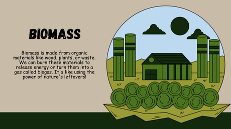 The Energy Crisis: A Comprehensive Analysis 11 Biomass