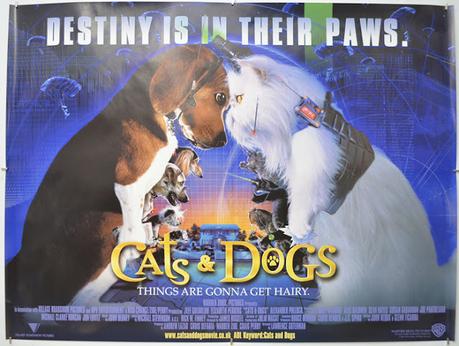 Cat & Dog ! - friendly banter, or fight !! Cat & Dog ! - friendly banter, or fight !!