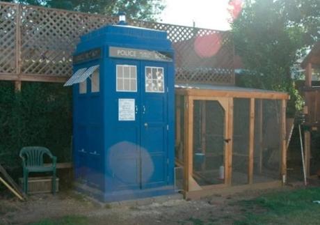 TARDIS chicken coop