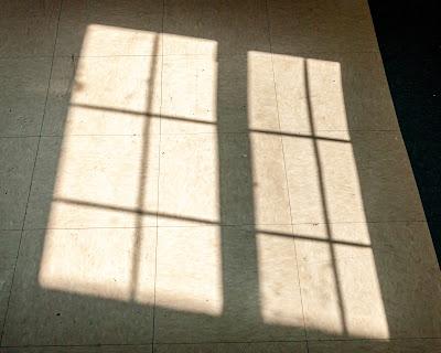 Contrasting visions of order in the world