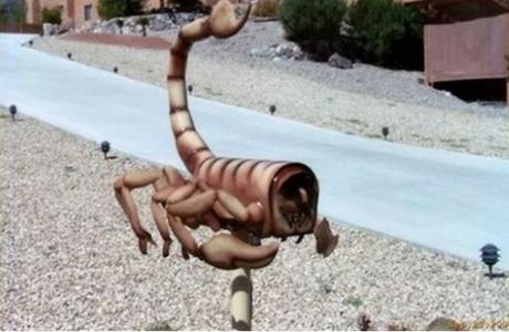 Scorpion Mailbox