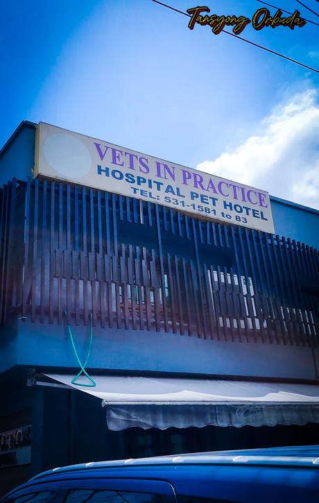 Escobar’s First Stay at VIP Pet Hotel: A Stress-Free Vacation for Both of Us! Pet boarding experience,VIP Pet Hotel review,Dog boarding Mandaluyong,Pet care while on vacation,American Bully pet boarding,Pet hotel near me,Travel vlog with pets,Pet boarding requirements,Dog boarding rates,Secure pet care facility