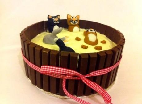 Kit Kat Style Cats in milk cake