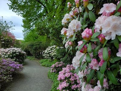 BERGEN, NORWAY, 3 DAYS IN MAY: Old and New and a Walk About Town